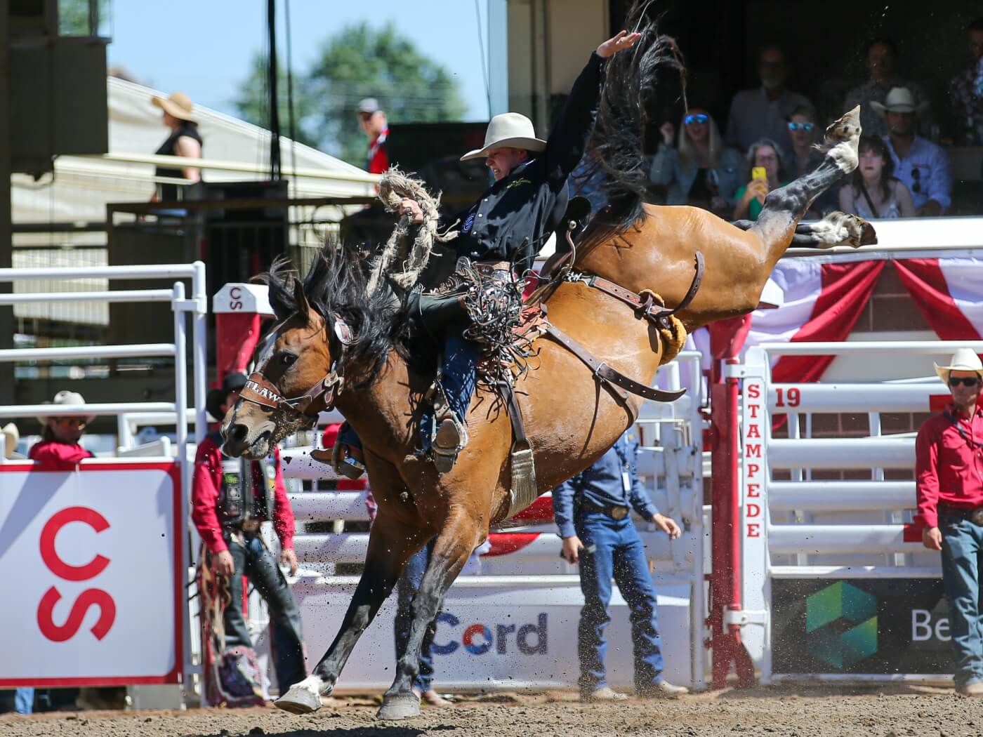 Calgary Stampede Kanada Sommer