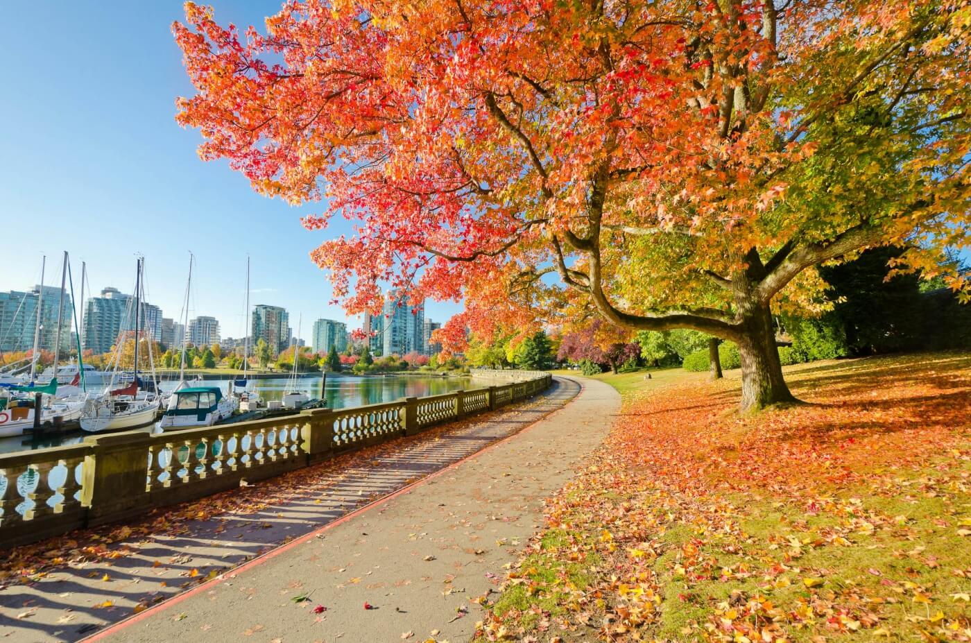 Stanley Park Vancouver