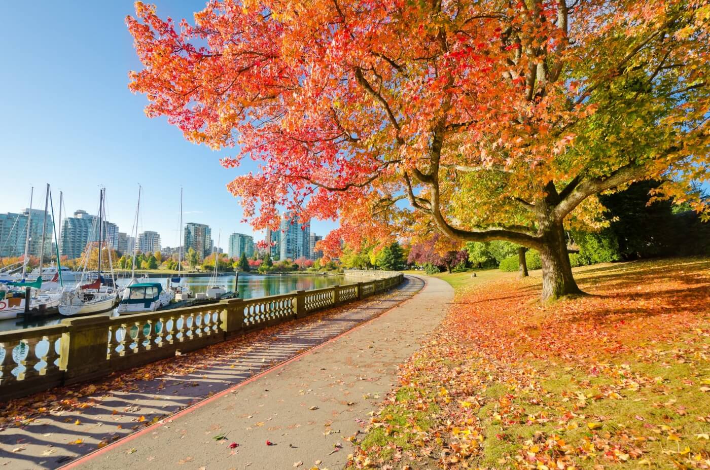 Herbst im Stanley Park in Vancouver